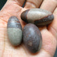 Lot of 3 Natural Elliptically Shaped Shiva Lingam Stones from India