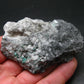 Emerald Beryl Crystals On Matrix From Colombia - 3.1"- 99.9 Grams