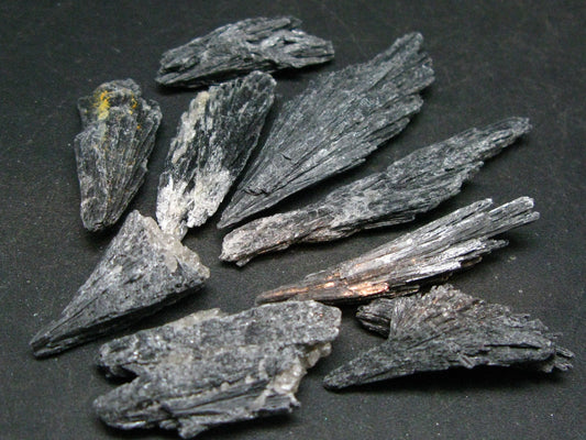 Lot of 10 Rare Black Kyanite Crystals From Brazil - 31 Grams