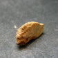 Rare Monazite Crystal From Brazil - 0.6" - 1.71 Grams
