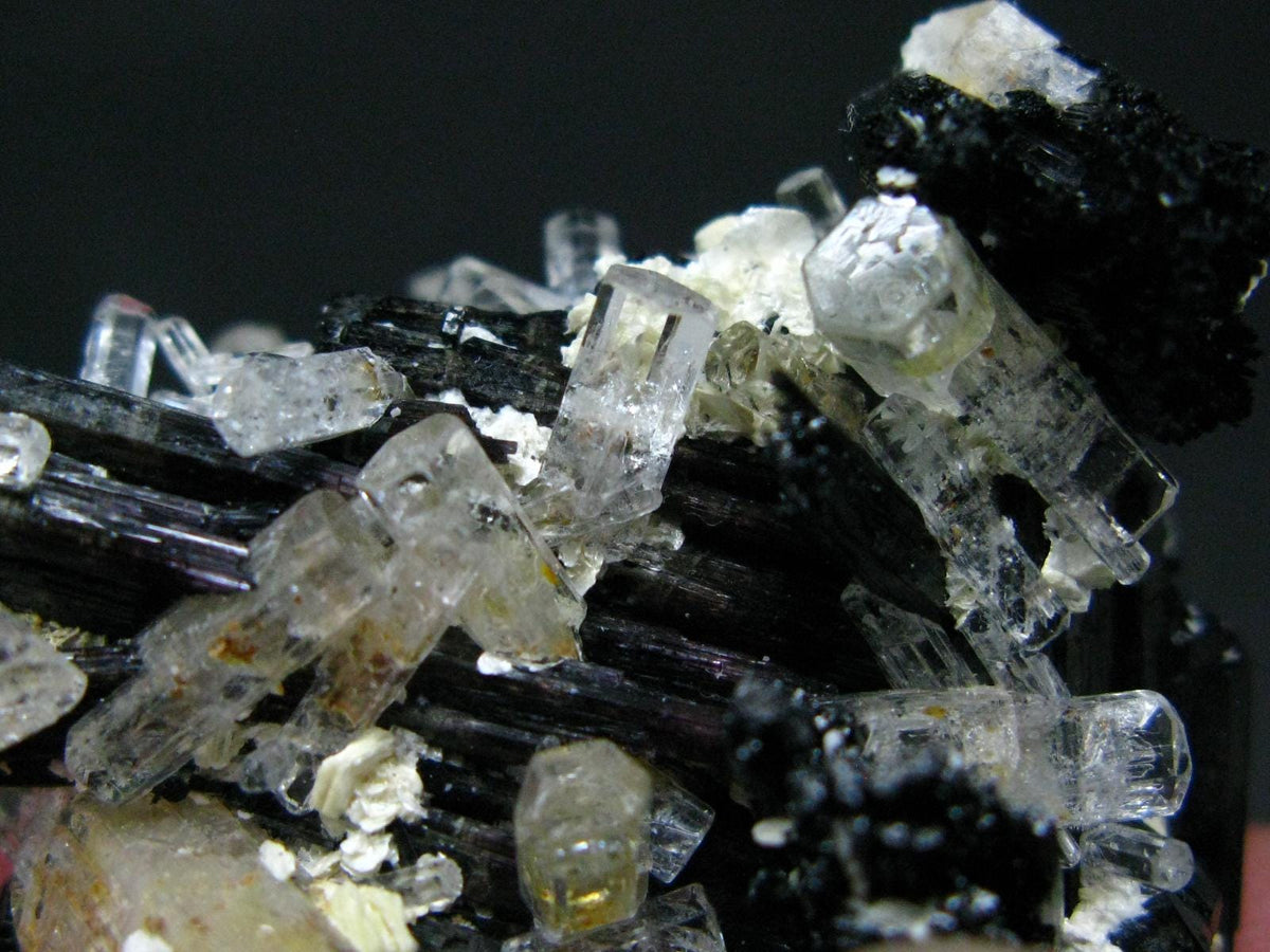 Clear Goshenite Beryl on Black Tourmaline Cluster From Namibia - 2.0" - 42.04 Grams