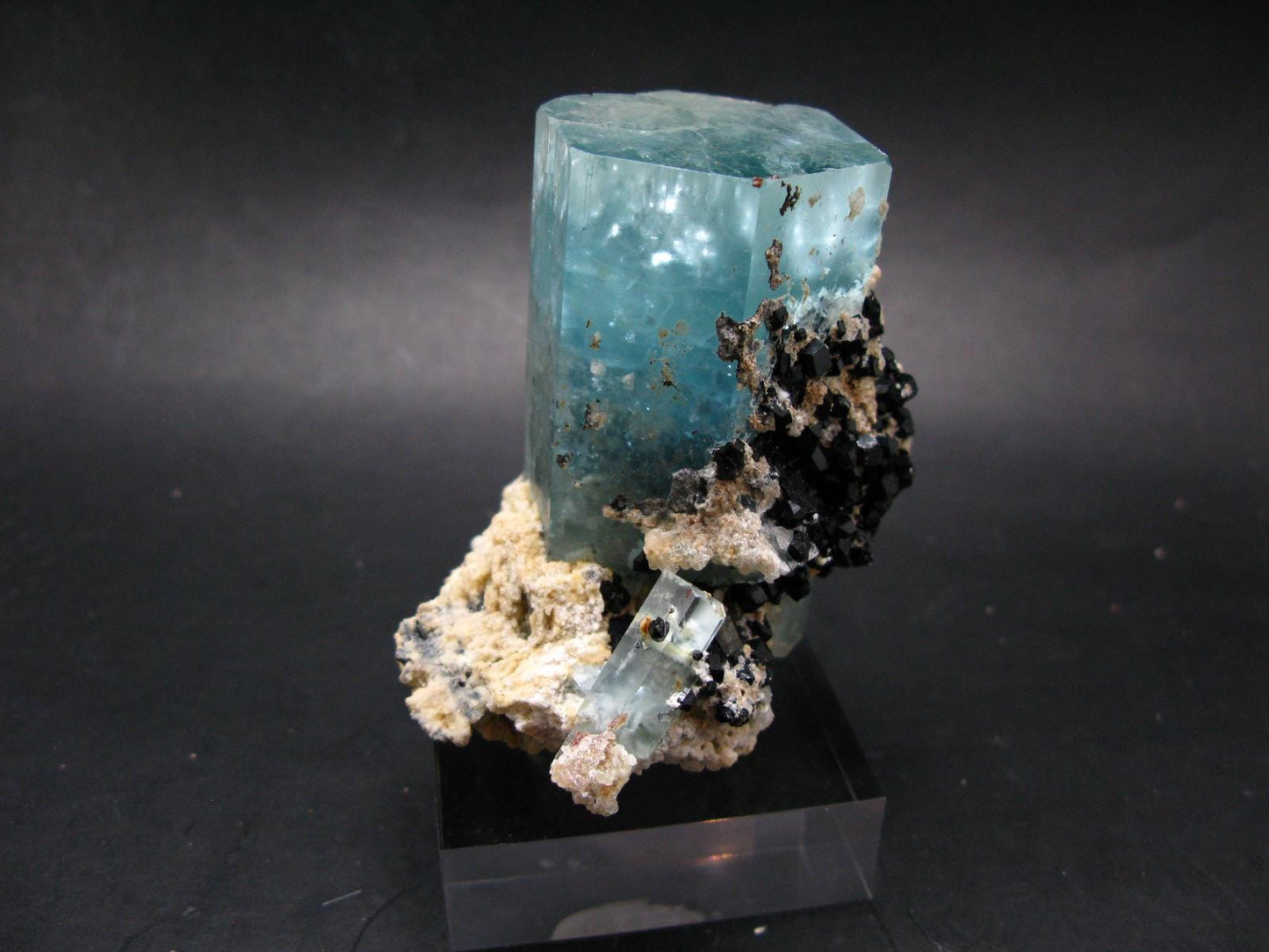 Big Aquamarine & Black Tourmaline Crystal From Erongo Namibia - 3.3"