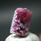 Nice Rare Gem Bixbite Red Emerald Beryl DT Crystal From Utah USA - 2.26 Carats