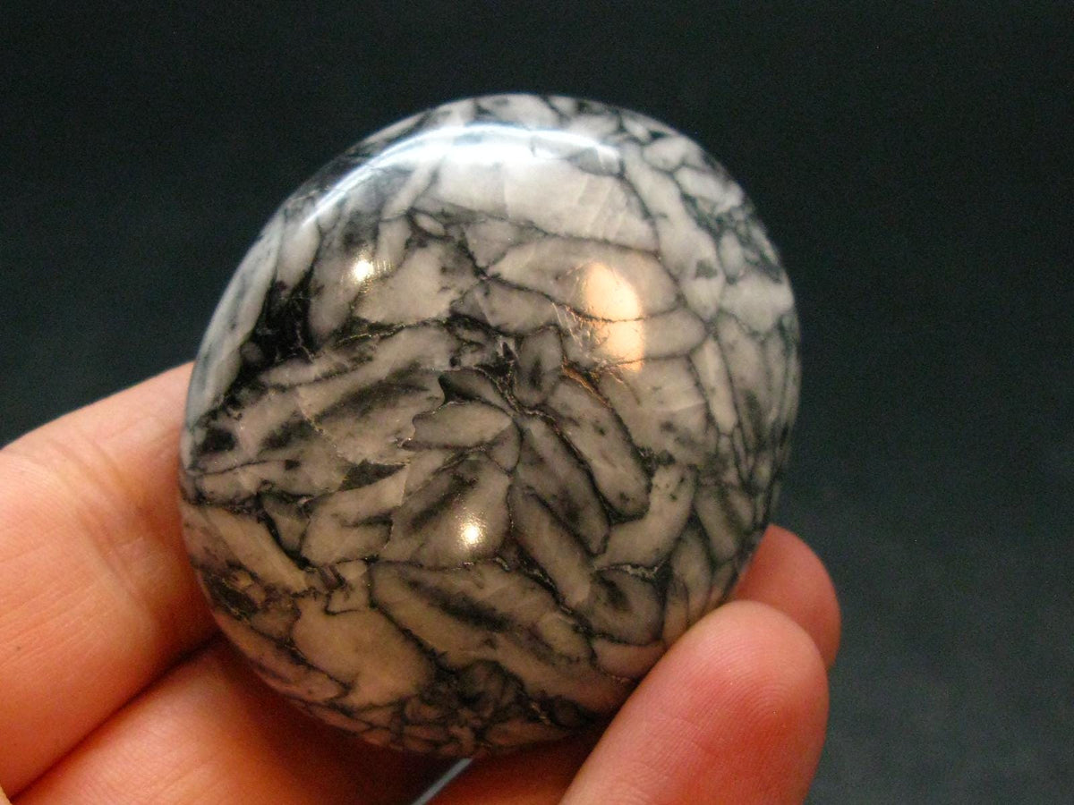 Pinolite Tumbled Stone from Austria - 1.9"