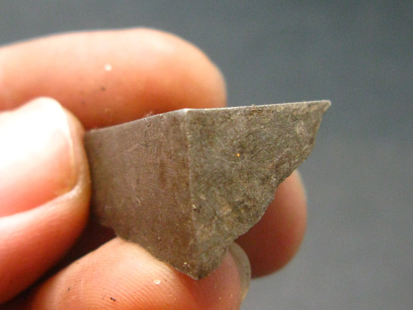 Large Gibeon Meteorite From Namibia - 0.7" - 12.34 Grams