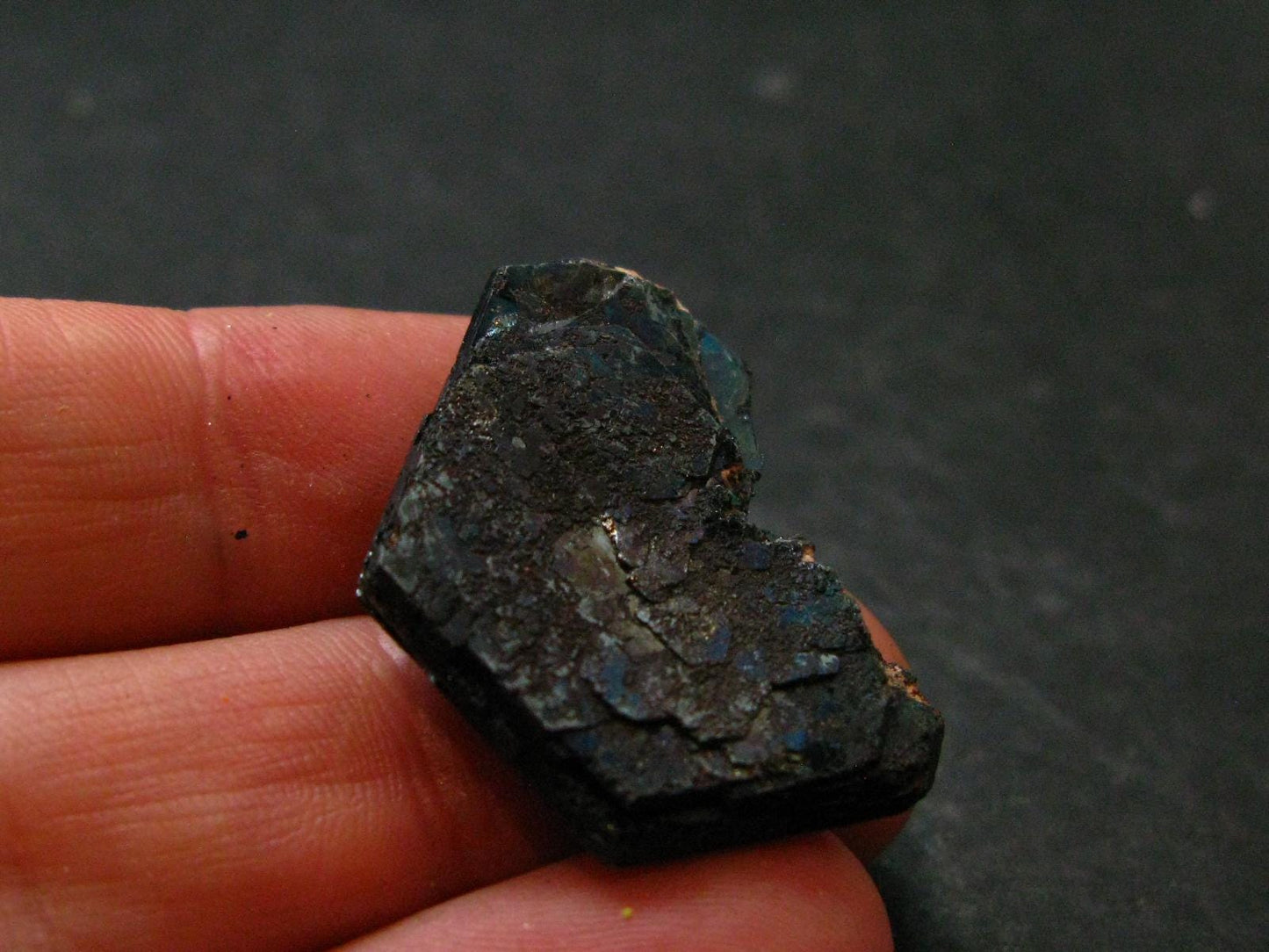 Natural Hematite "Iron Rose" from Brazil - 1.2" - 8.38 Grams