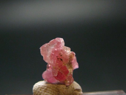 Rare Pezzottaite Crystal from Madagascar - 1.55 Carats - 0.4"
