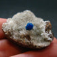 Cavansite on Stilbite Cluster From India - 1.3"