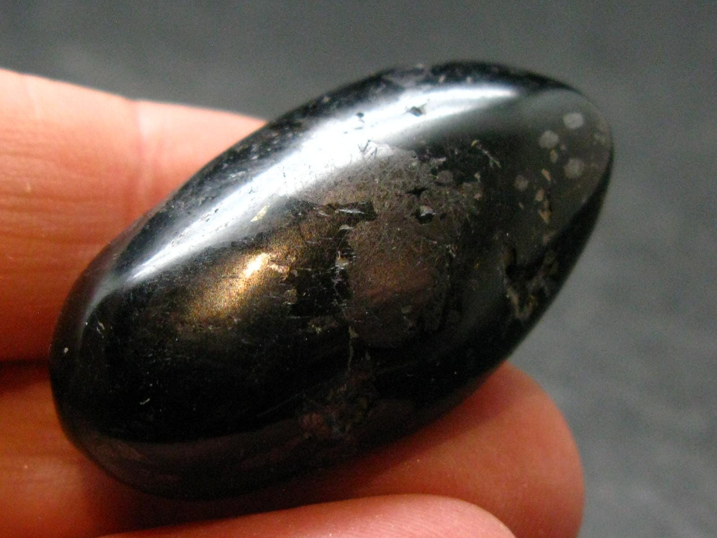 Rare Nuumite Nuummite Tumbled Stone From Greenland - 13.71 Grams - 1.3"