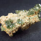 Rare Demantoid Garnet Cluster from Madagascar - 2.3" - 38.8 Grams