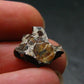 Large Sericho Meteorite Pallasite Olivine Slice From Kenya - 0.5" - 1.13 Grams