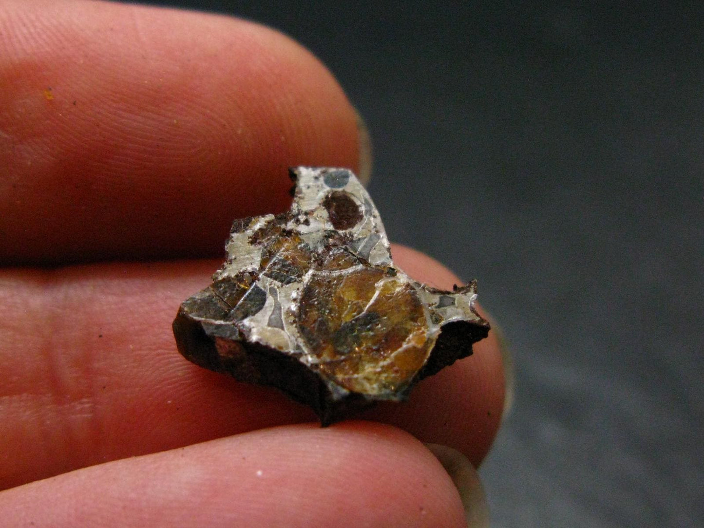 Large Sericho Meteorite Pallasite Olivine Slice From Kenya - 0.5" - 1.13 Grams