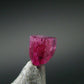 Nice Rare Gem Bixbite Red Emerald Beryl Crystal From Utah USA - 0.24 Carats