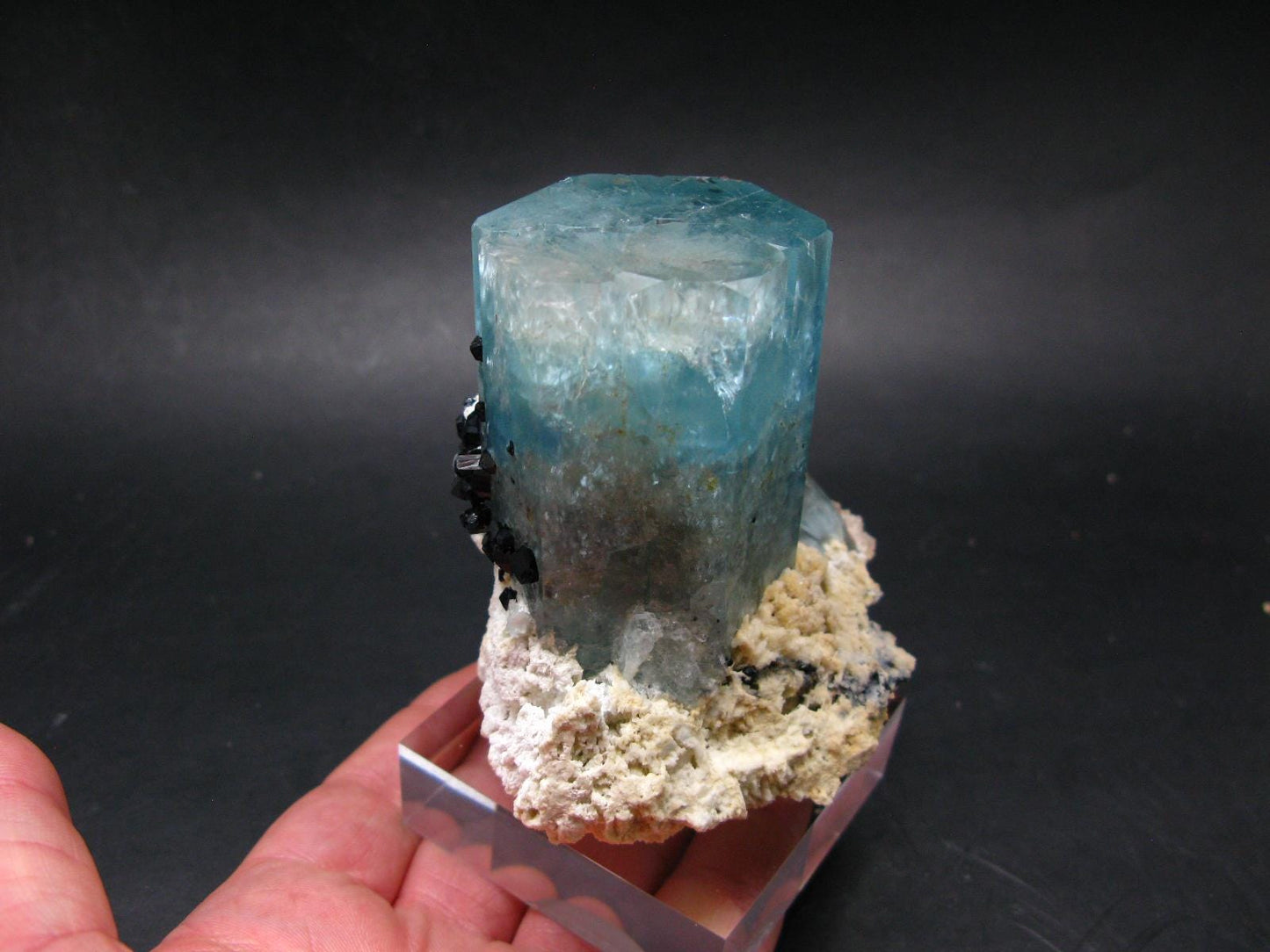 Big Aquamarine & Black Tourmaline Crystal From Erongo Namibia - 3.3"