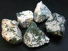 Tree Agate!! Lot of 5 Raw Moss Agate Stone From USA