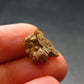Rare Monazite Crystal From Brazil - 0.5" - 1.14 Grams