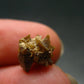 Rare Monazite Crystal From Brazil - 0.4" - 1.09 Grams