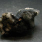 Phenakite Phenacite Crystal From Brazil - 2.3" - 56.40 Grams