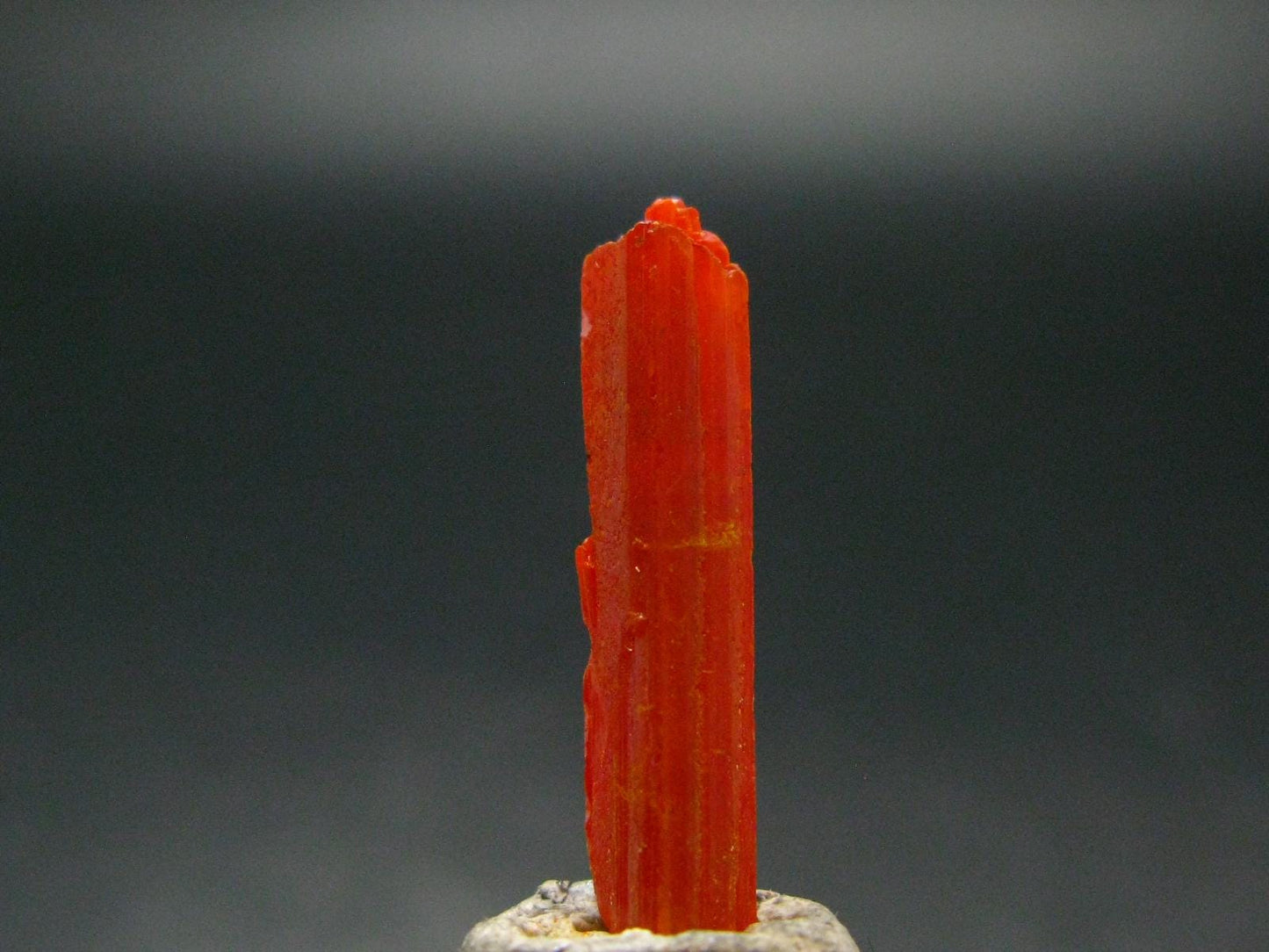 Large Orange Crocoite Crystal From Australia - 0.9" - 6.80 Carats