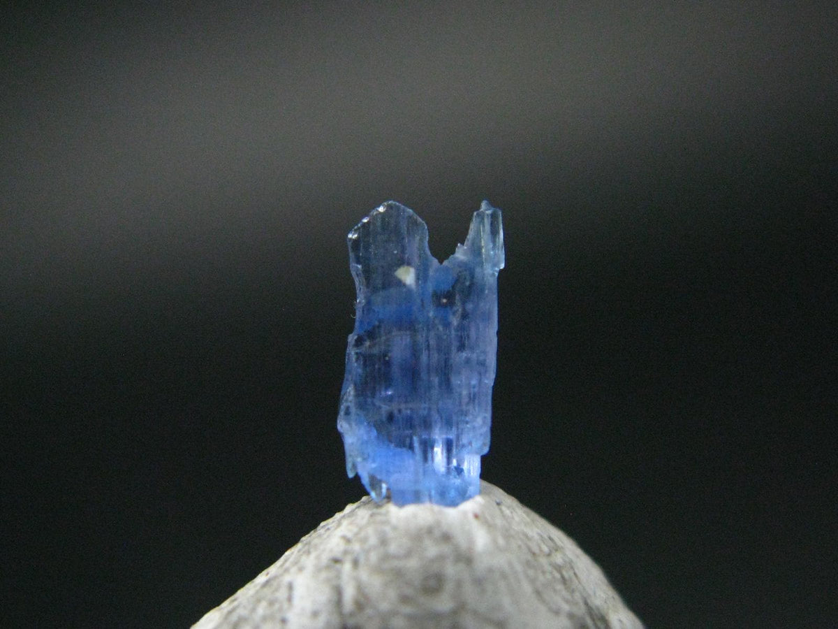 Rare Gem Jeremejevite Crystal From Namibia - 0.46 Carats