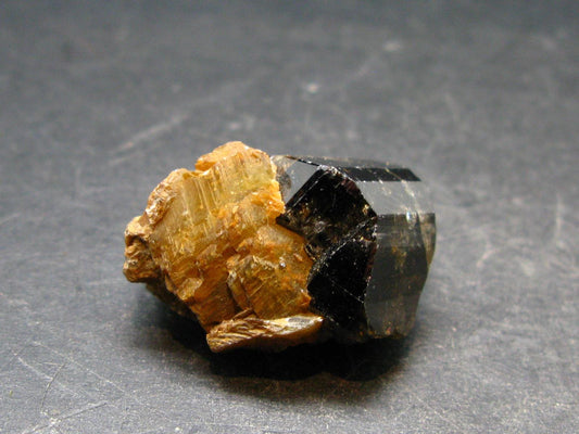 Cassiterite Crystal From Bolivia - 1.1" - 26.38 Grams