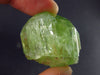 Very Nice Dioptase Crystal from Tanzania - 1.1" - 23.4 Grams