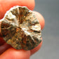 Rare Raw Polished Seraphinite Clinochlore Angels Wings Piece From Russia - 0.9"