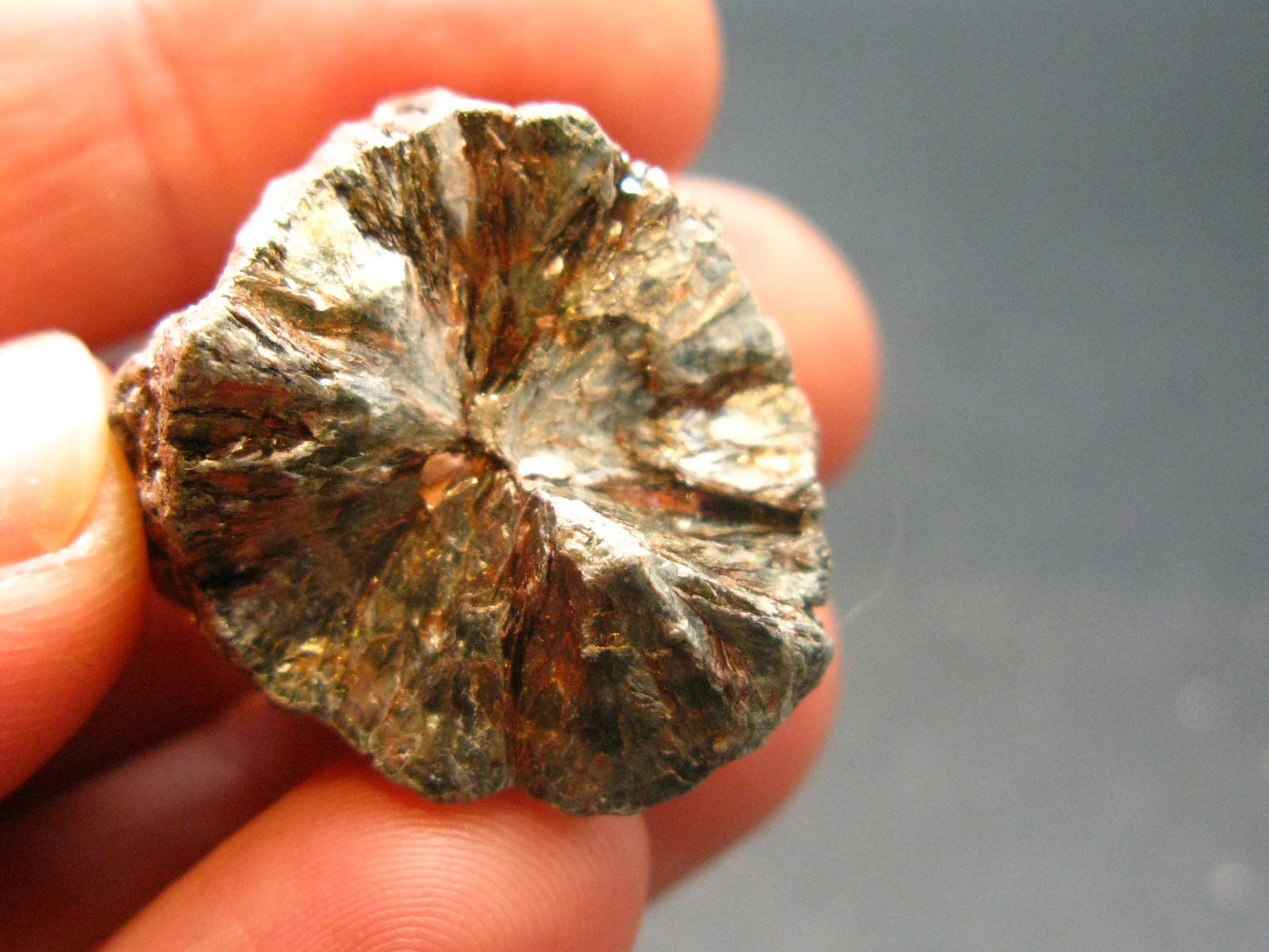 Rare Raw Polished Seraphinite Clinochlore Angels Wings Piece From Russia - 0.9"