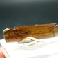 Large Brookite Crystal From Pakistan - 0.27 Grams - 23 mm