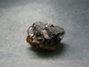 Rare Prophecy Stone Limonite after Pyrite From Egypt - 1.6" - 56.9 Grams