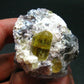 Museum Golden Apatite Cluster From Mexico - 2.2"