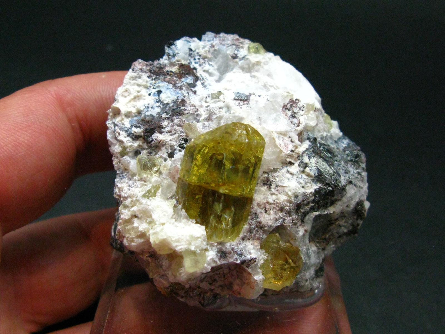 Museum Golden Apatite Cluster From Mexico - 2.2"