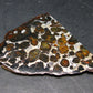 Large Sericho Meteorite Pallasite Olivine Slice From Kenya - 2.8" - 20.07 Grams