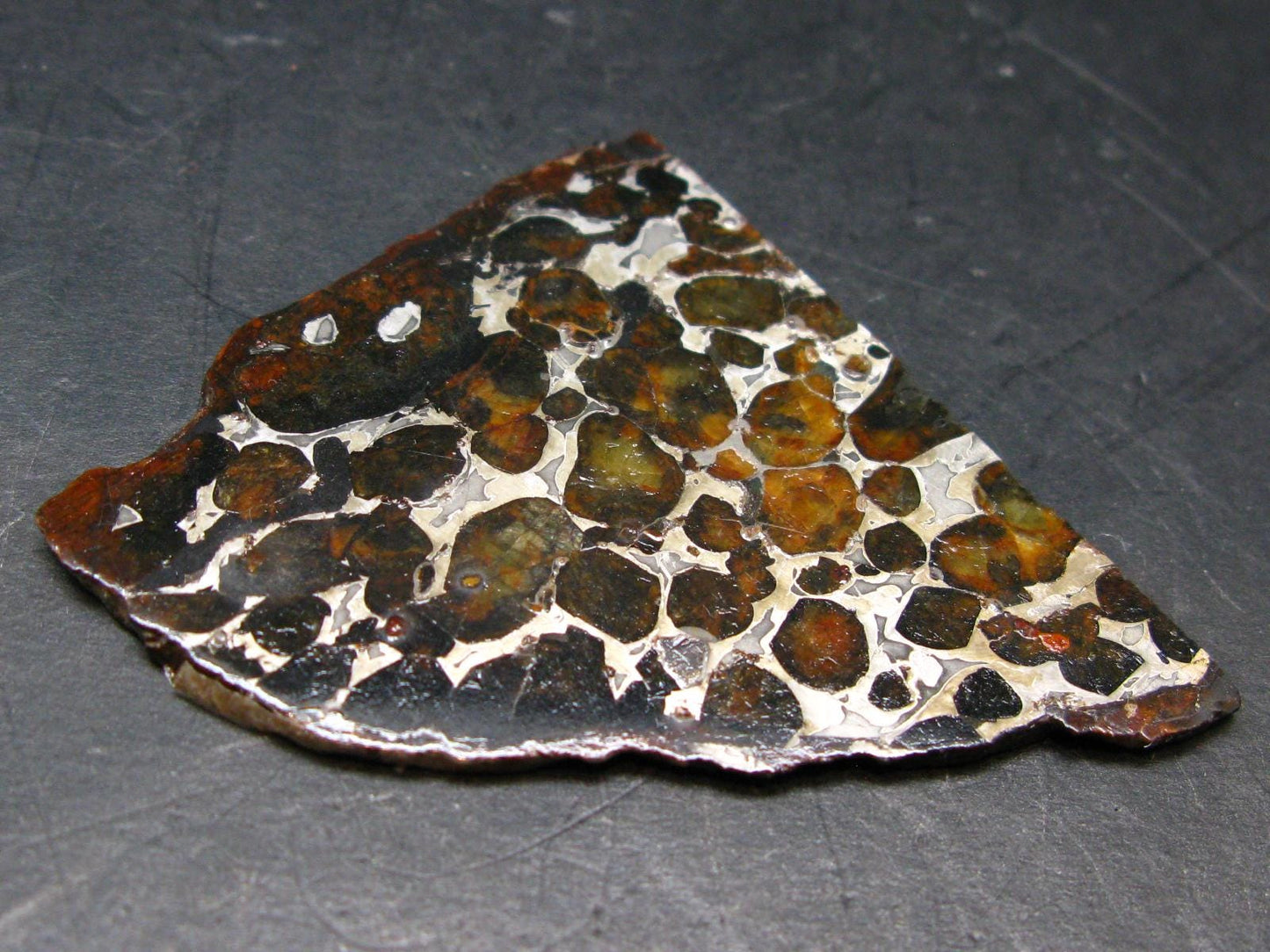 Large Sericho Meteorite Pallasite Olivine Slice From Kenya - 2.8" - 20.07 Grams