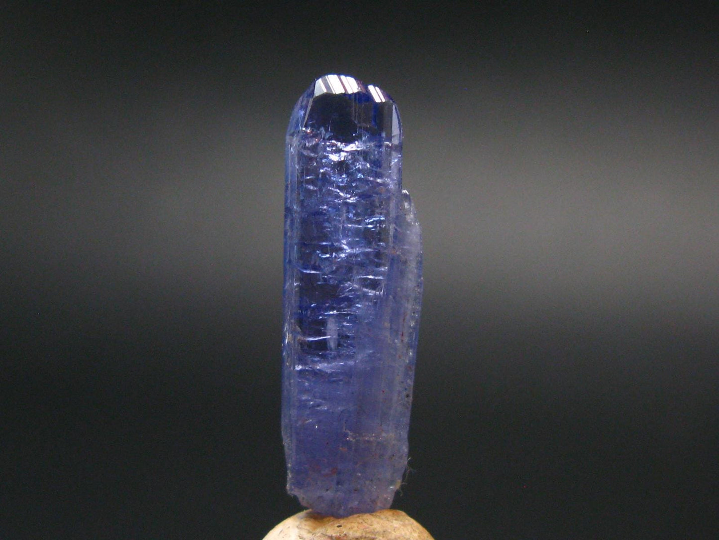 Fine Gem Tanzanite Zoisite Crystal From Tanzania - 6.85 Carats - 0.9"