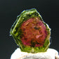 Rare Watermelon Tourmaline Crystal Slice From Brazil - 2.45 Carats