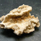Large Fulgurite Lightning Rock From Sahara Desert - 1.6" - 3.20 Grams