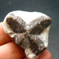 A Perfect Staurolite Crystal from Russia - 1.3" - 15.67 Grams