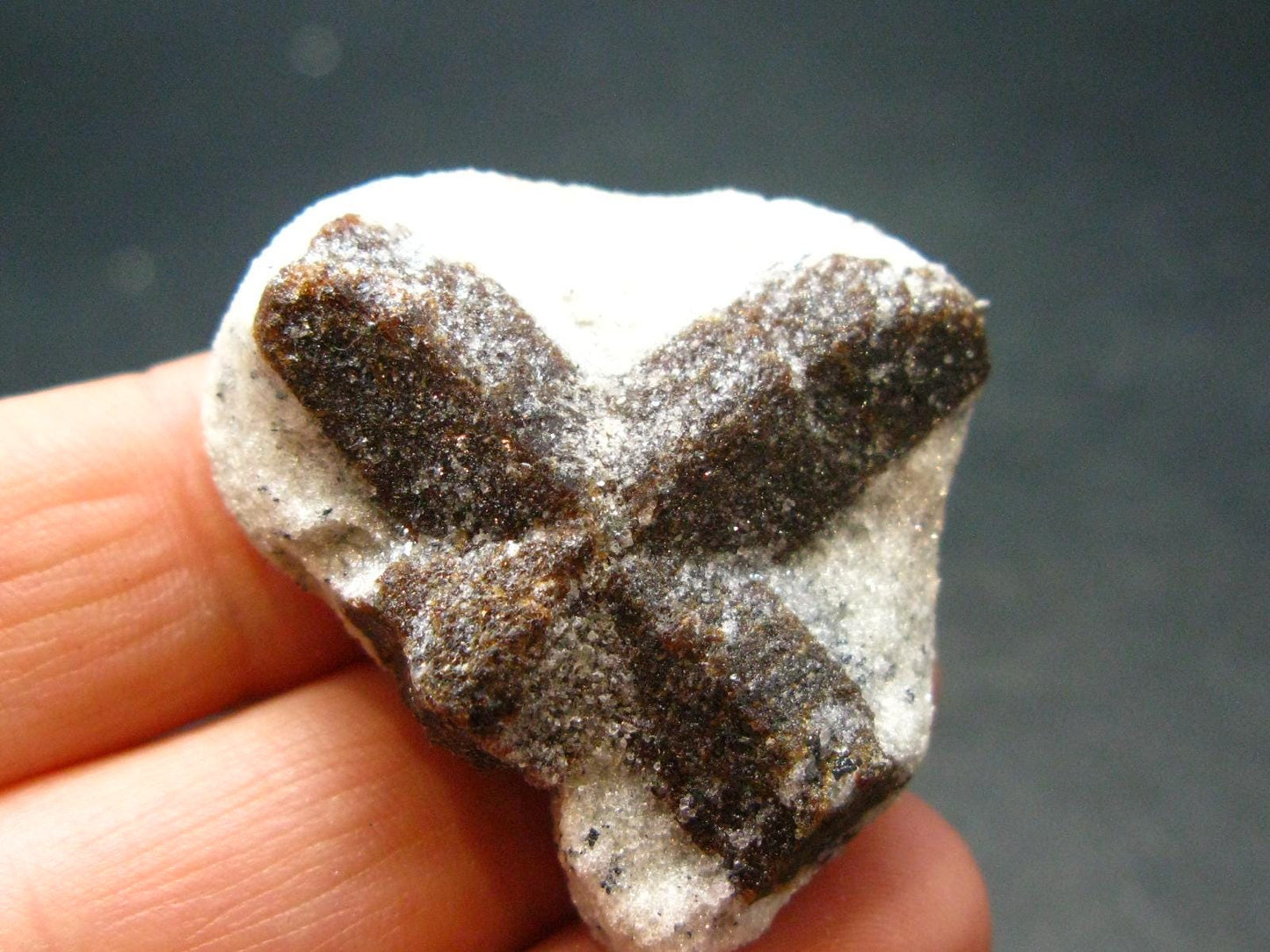 A Perfect Staurolite Crystal from Russia - 1.3" - 15.67 Grams