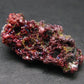 Rare Gem Proustite Cluster From Morocco - 1.4" - 12.42 Grams