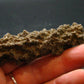 Large Fulgurite Lightning Rock From Sahara Desert - 2.7" - 7.74 Grams