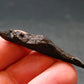 Large Gibeon Meteorite From Namibia - 1.5" - 4.15 Grams