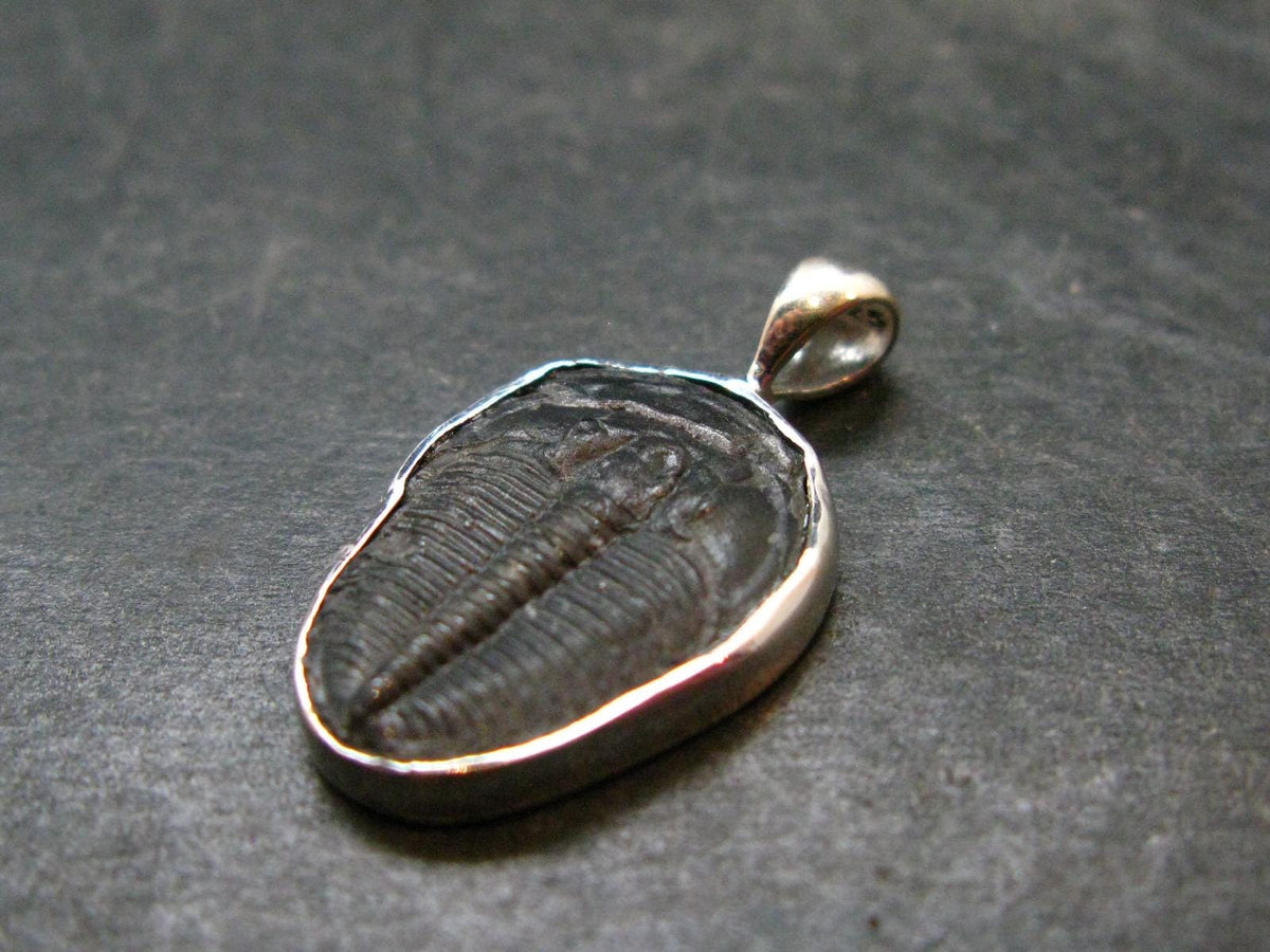 Trilobite Silver Pendant from USA - 1.0" - 1.91 Grams