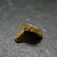 Rare Monazite Crystal From Brazil - 0.5" - 0.96 Grams