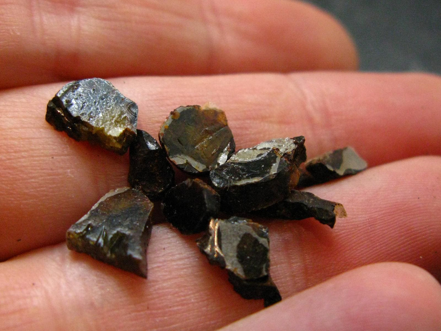 Lot of 10 Sericho Pallasite Meteorite Pieces From Kenya - 1.80 Grams