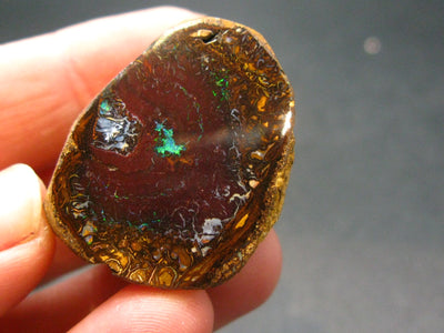 Rare Boulder Opal Piece from Australia - 1.2"