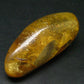 Insects in Amber Piece From Colombia - 12.82 Grams - 2.1"