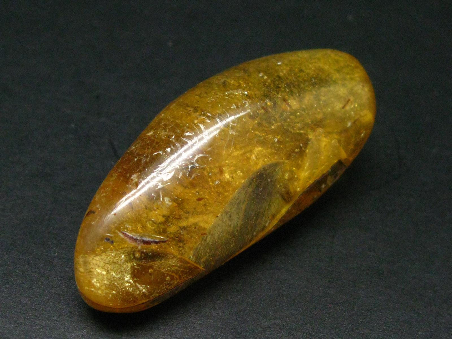 Insects in Amber Piece From Colombia - 12.82 Grams - 2.1"