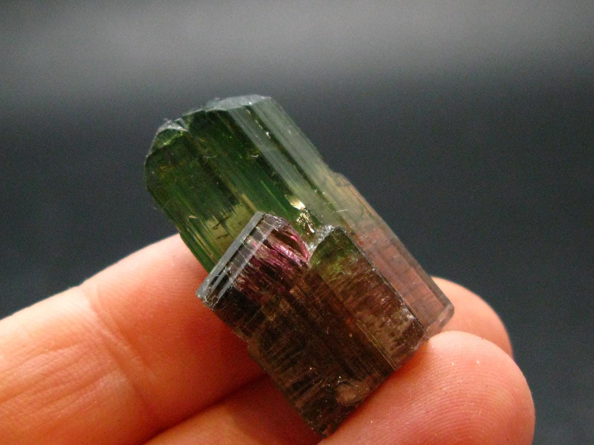 Rare Watermelon Tourmaline Crystal From Brazil - 1.1"