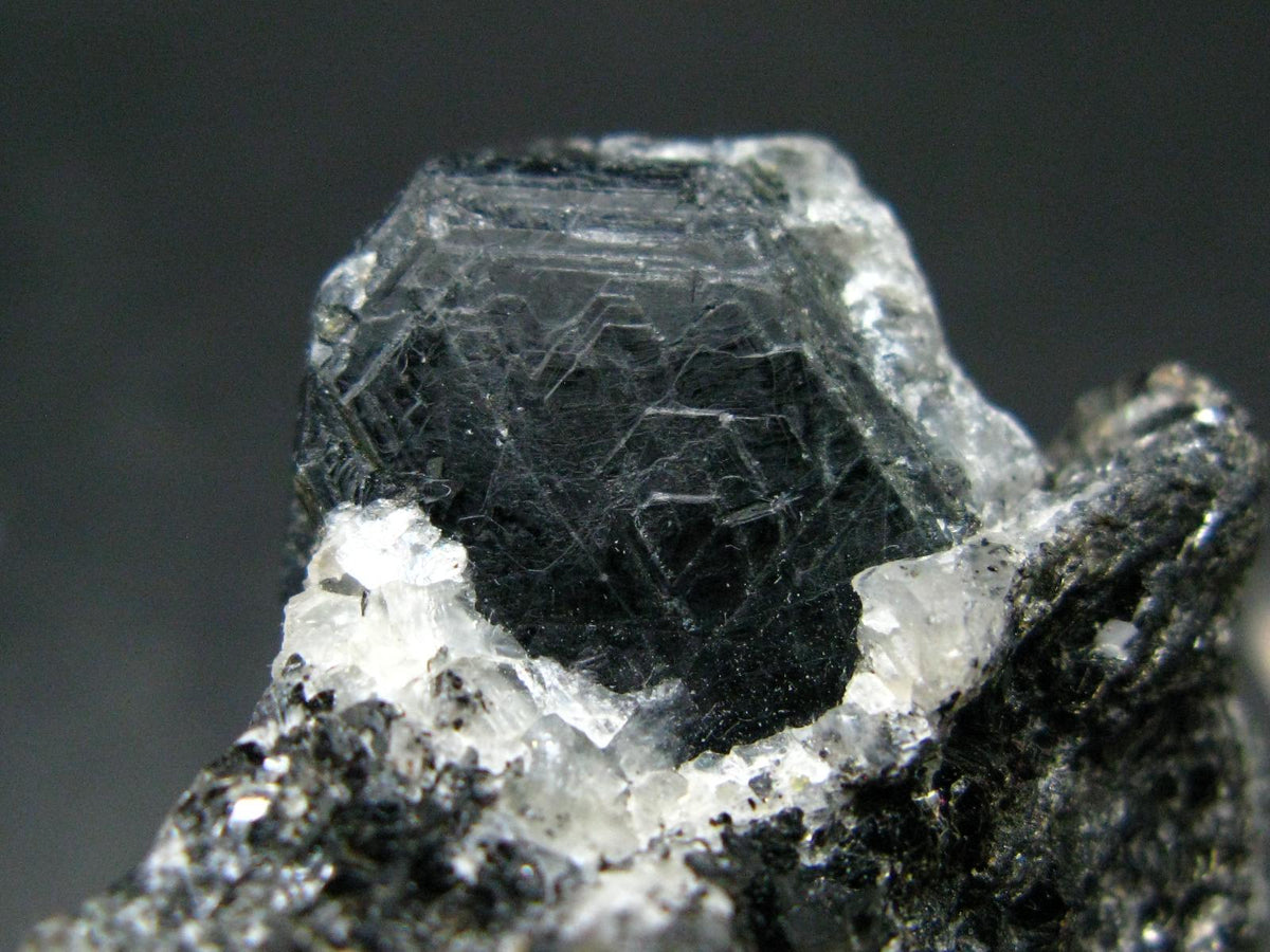 Rare Sapphirine on matrix Cluster From Madagascar - 2.2"